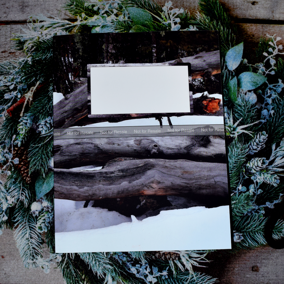 Snow Covered Logs Bullet Journal