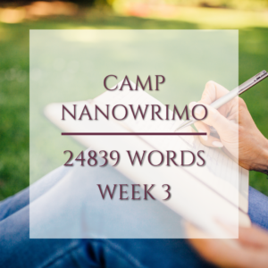 Developmental Edits During Camp Nano Week 3