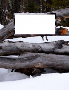 Snow Covered Logs Bullet Journal